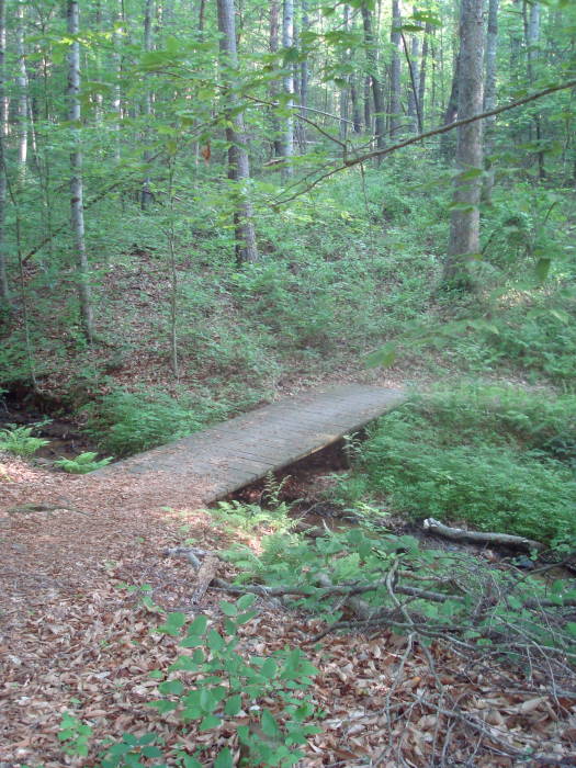 Plant Walk